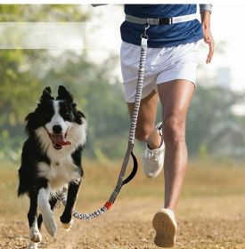 Hands Free Dog Leash for Medium and Large Dogs - Durable Dual Handle Waist Leash with Reflective Bungee for Running; Walking; Training; Hiking (Specification (L * W): 2.5*160cm, Colour: Aqua green-4211)